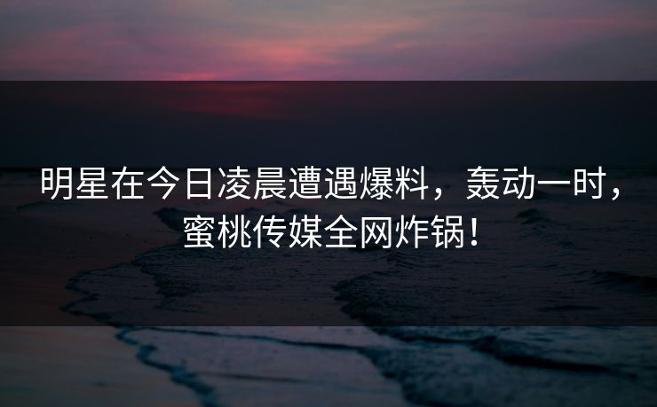 明星在今日凌晨遭遇爆料，轰动一时，蜜桃传媒全网炸锅！