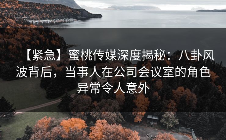【紧急】蜜桃传媒深度揭秘:八卦风波背后,当事人在公司会议室的角色异常令人意外 【紧急】蜜桃传媒深度揭秘:八卦风波背后,当事人在公司会议室的角色异常令人意外