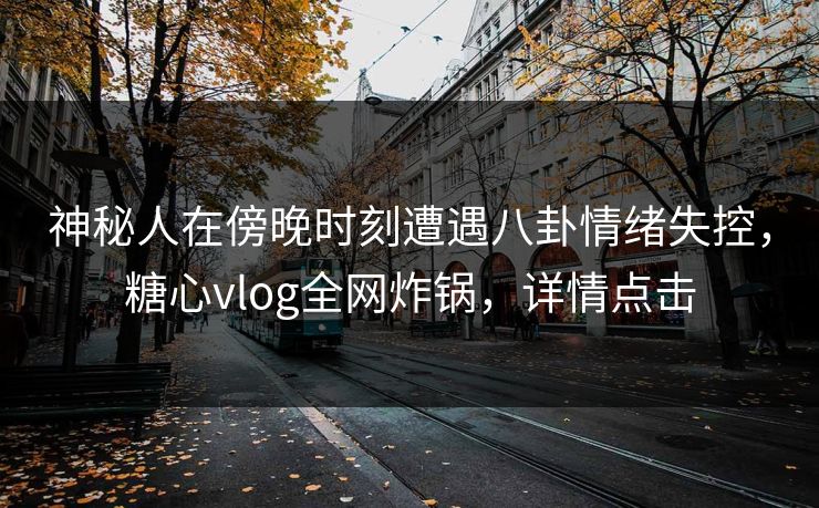 神秘人在傍晚时刻遭遇八卦情绪失控，糖心vlog全网炸锅，详情点击