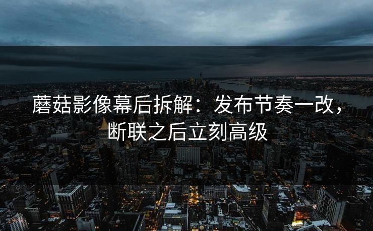 蘑菇影像幕后拆解：发布节奏一改，断联之后立刻高级